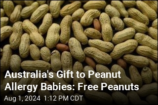 Australia&#39;s Gift to Peanut Allergy Babies: Free Peanuts