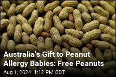 Australia&#39;s Gift to Peanut Allergy Babies: Free Peanuts