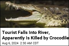 Human Remains Found in Croc After Tourist Falls Into River