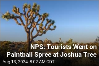 German Tourists Cited for Defacing Joshua Tree Park