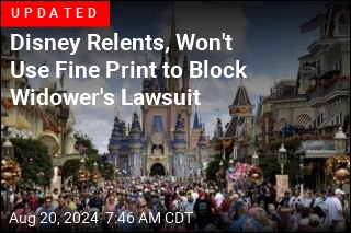 Lawyers: Disney+ Fine Print Bars Suit Over Wife's Death