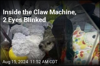 There's a Real Critter in This Claw Machine
