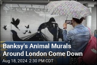 Banksy&#39;s Animal Murals Around London Come Down