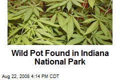 Wild Pot Found in Indiana National Park