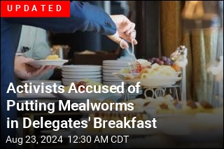 Activists Allegedly Put Maggots in Delegates' Breakfast