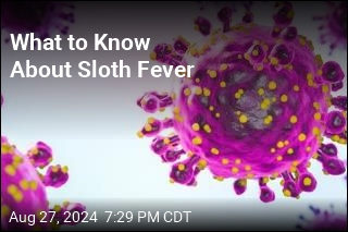 What to Know About Sloth Fever