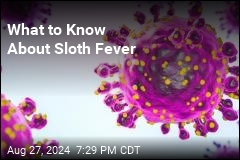 What to Know About Sloth Fever