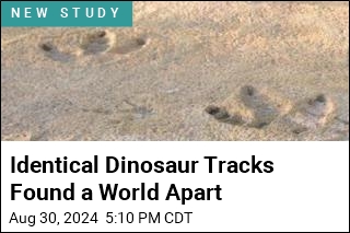 Identical Dinosaur Tracks Found a World Apart