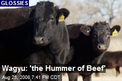Wagyu: 'the Hummer of Beef'