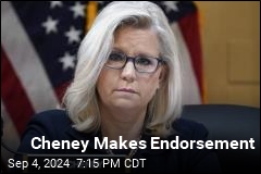 Liz Cheney Endorses Harris