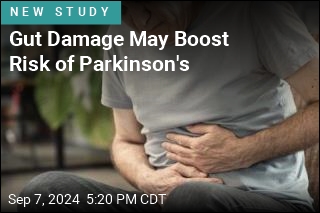 Gut Damage May Boost Risk of Parkinson&#39;s