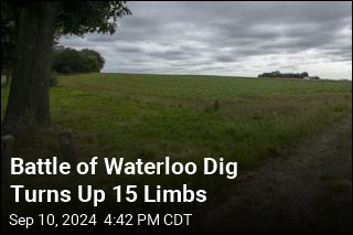 Battle of Waterloo Dig Turns Up Amputated Limbs