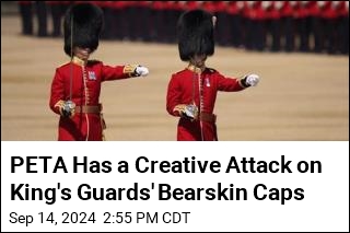 PETA Fights King&#39;s Guards&#39; Bearskin Caps From New Angle