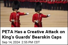 PETA Fights King&#39;s Guards&#39; Bearskin Caps From New Angle