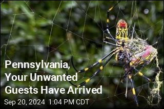 Pennsylvania, Your Unwanted Guests Have Arrived