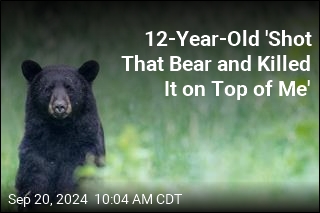 Boy, 12, Shoots Bear Mauling His Dad