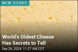 What Scientists Learned From 3.6K-Year-Old Cheese