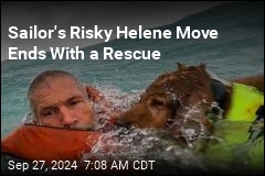 Amid Helene, Man and His Dog Saves From Sea