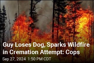 Guy Loses Dog, Sparks Wildfire in Cremation Attempt: Cops