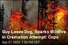 Guy Loses Dog, Sparks Wildfire in Cremation Attempt: Cops