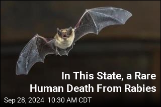 In This State, a Rare Human Death From Rabies