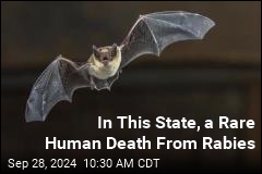 In This State, a Rare Human Death From Rabies