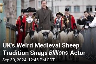 Billions Actor Gets in on UK&#39;s Weird Medieval Sheep Tradition