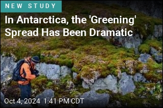 Snowy Antarctica Is Turning Green