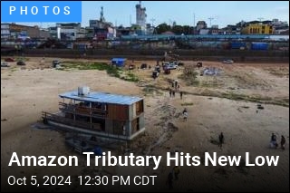 Drought Dries Amazon Tributary