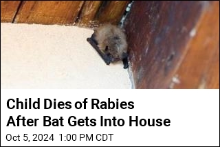 After Bat Gets Into Bedroom, Canadian Child Dies of Rabies