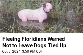 Troopers Rescue Dog Tied to Fence Along I-75 in Florida