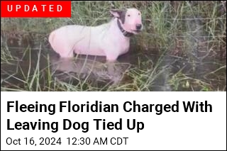 Troopers Rescue Dog Tied to Fence Along I-75 in Florida