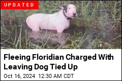 Troopers Rescue Dog Tied to Fence Along I-75 in Florida