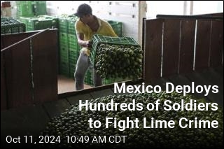 Mexico Deploys Troops to Protect Lime Growers