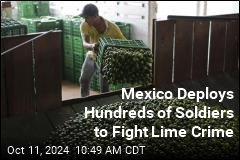 Mexico Deploys Troops to Protect Lime Growers