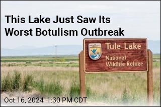 Botulism Kills 94K Birds at Wildlife Refuge