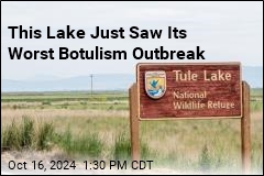 Botulism Kills 94K Birds at Wildlife Refuge