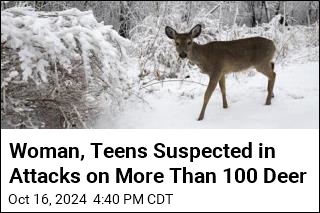 Woman, Teens Suspected in Attacks on More Than 100 Deer