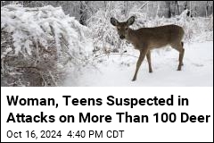 Woman, Teens Suspected in Attacks on More Than 100 Deer