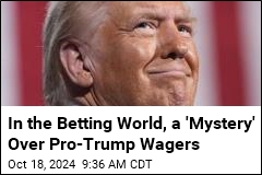 Betting Market Shows a Big Trump Lead. Is It Manipulation?