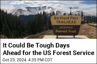 2025 Could Be a Brutal Year for the US Forest Service