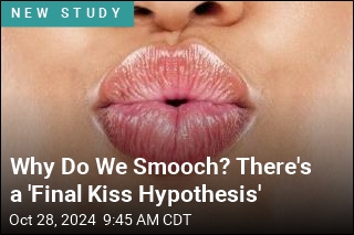 &#39;Final Kiss Hypothesis&#39; May Explain Our Smooching