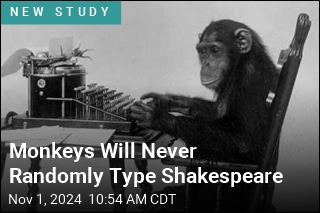 Monkeys Will Never Randomly Type Shakespeare