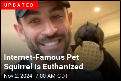 Internet-Famous Pet Squirrel Is Seized