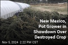 New Mexico Just Destroyed a Whole Lot of Pot