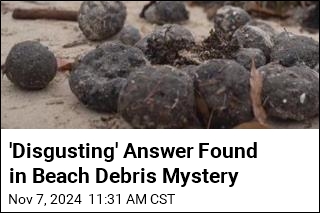 Disgusting&#39; Answer Found in Beach Debris Mystery