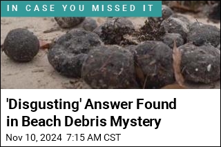 Disgusting&#39; Answer Found in Beach Debris Mystery