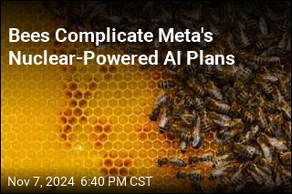 Bees Complicate Meta&#39;s Nuclear-Powered AI Plans