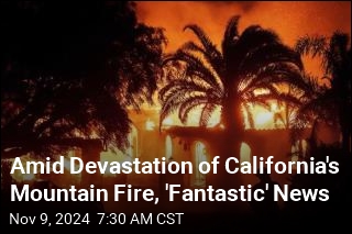 Amid Devastation of California&#39;s Mountain Fire, &#39;Fantastic&#39; News