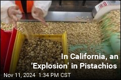 In California, an &#39;Explosion&#39; in Pistachios